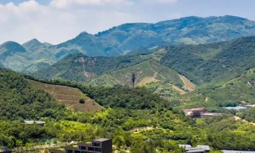 J.LALLI VALLEY