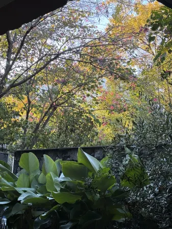 Hu Jing Qing You Hotel Отели рядом с достопримечательностью «Yunzi Museum»