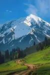 INWARD PEAK· · Luxury · Forest Designer Vacation Homestay (Kanas Scenic Area Branch)