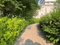 Xitao Homestay (Anaya)