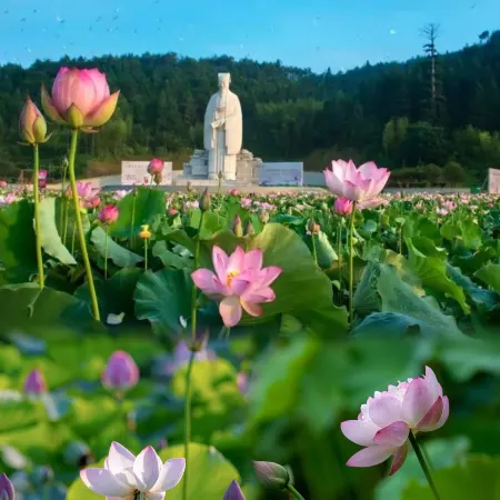 HALOYON VILLA  WUYI