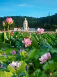 HALOYON VILLA  WUYI - Romantic