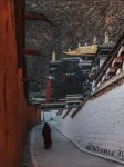藍庭雅居飯店 - 山景