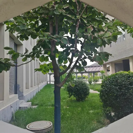 Leling Zaolin Academy Hotel