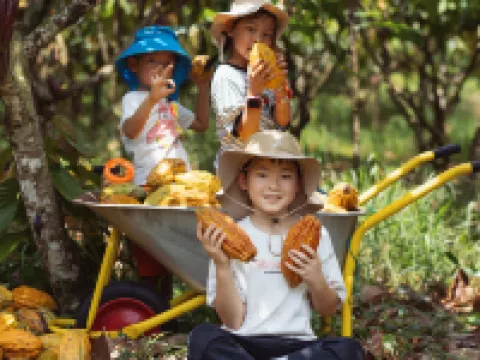 Le Méridien Shimei Bay Beach Resort & Spa Hotels in Wanning