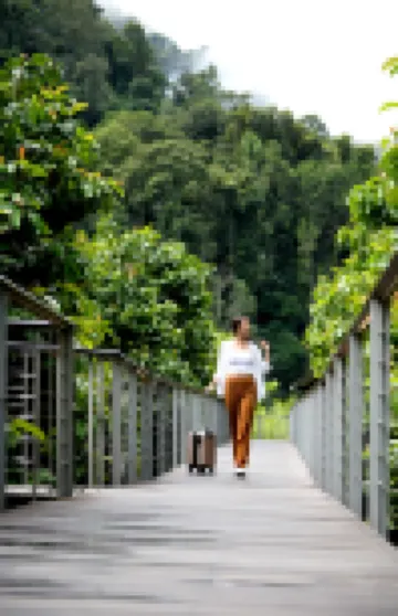 Borneo Rainforest Lodge