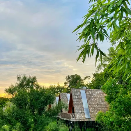 Tree Frog Resort Hotel