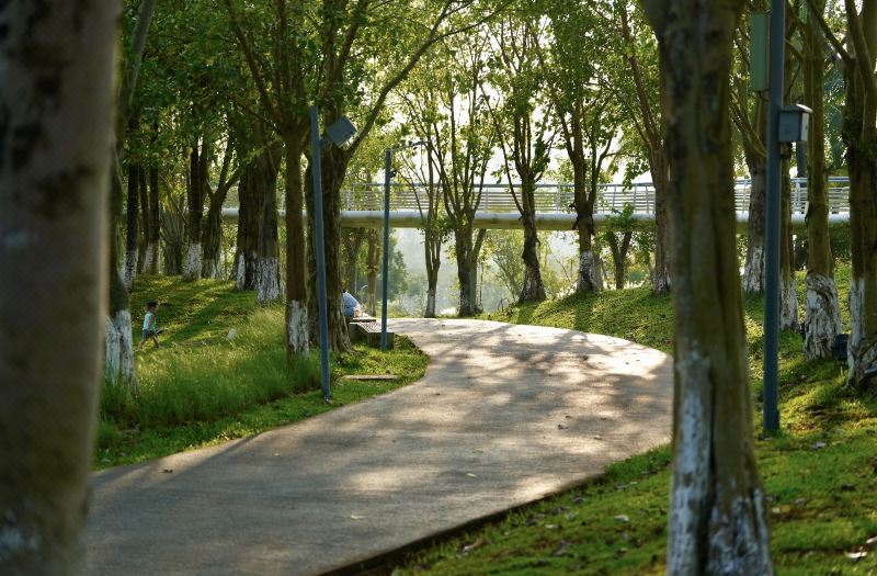 Haikou Island Forest Hotel (Haikou East High-speed Railway Station) photo 3