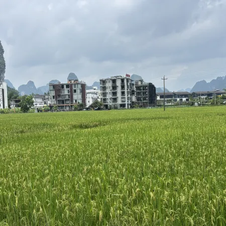 Mingshi Yinlu Homestay (Daxin Mingshi Scenic Area)
