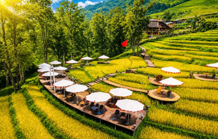 MT House Sa Pa - Mountain & Terraced fields View And Trekking Tour