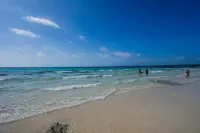 Vivid Terrace Room 102 (9-minute walk to Sunayama Beach) - 新規開業