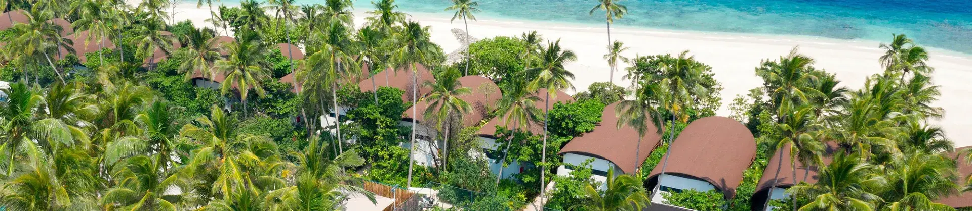 Luxury Hotels