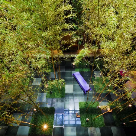 Dhawa Yura Kyoto