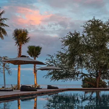 The Funny Lion - Puerto Princesa