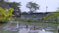 Check-in Resort