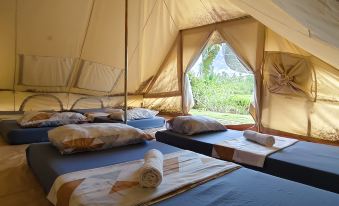 The Acacia Glamping Park