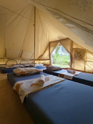 The Acacia Glamping Park Hotels near Chocolate Hills