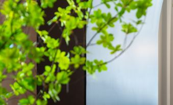 Nolan Garden Hotel Wangjiawan Sixin Avenue Subway Station