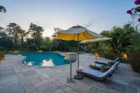 Jungle Villa Resort - Near Chitwan National Park - Villas