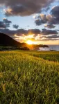 3 seconds to the sea [25 minutes drive to Ine no Funya] Scenic ocean view BBQ entire house rental - Ocean View