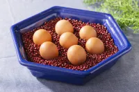 大阪難波格拉斯麗酒店 大阪酒店