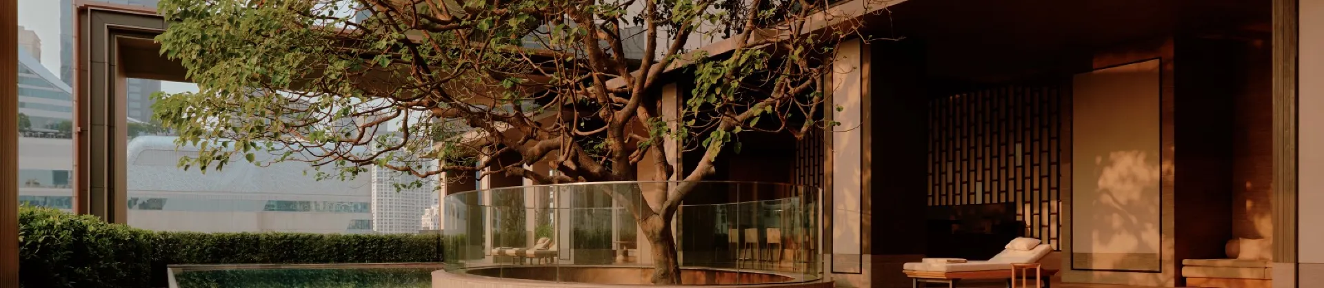 Luxury Hotels
