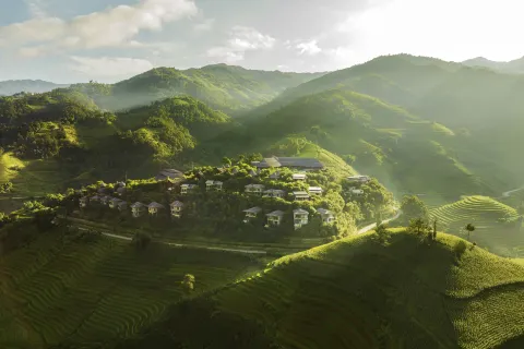 Garrya Mu Cang Chai