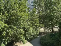 Phile Hotel (Wudadao Xiawafang Subway Station Branch)