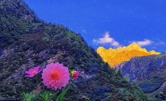 Siguniangshan Wangqimei Inn