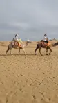 shazhiyu
