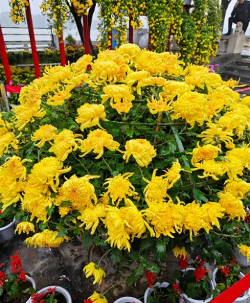 New Dynasty Hotel(Kaifeng Qingming Riverside Landscape Garden)