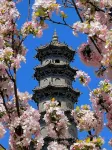 SFEEL Designer Hotel (Datong Ancient City Huayan Temple Branch) - Romanttinen