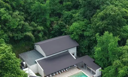 Lost Villa Ginkgo Valley (Suizhou Store)