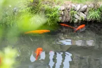 Hongcun Li · Qinghe MIRACLE · WONDERLAND Leisure Courtyard Mountain View Resort Chinese Inn - Pet friendly