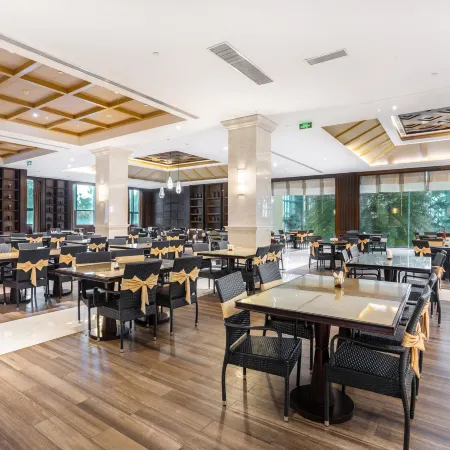 Yinji Huangdi Palace Yu Hot Spring Hotel (Animal Kingdom)
