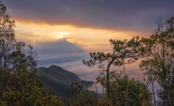 Xikang Wellness & Resort Jinggu Baima Mountain