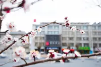 宜尚酒店（拉薩布達拉宮店） - 山景