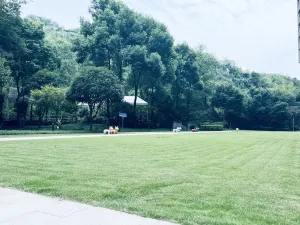 래디슨 블루 호텔 충칭 사핑바