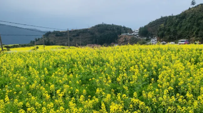 Zhixiju Pillow Water Homestay Отели рядом с достопримечательностью «Shishe Village»
