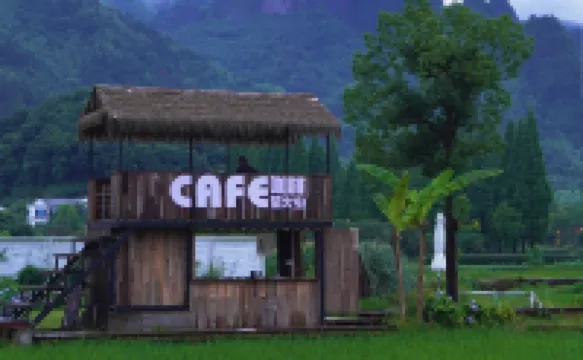 MOUNTAIN FIELD  FLOWER HOUS