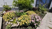 Xinyuan Dandan Shanshui Homestay