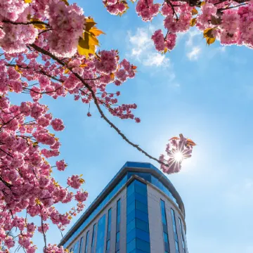 Sofitel Luxembourg le Grand Ducal Отели рядом с достопримечательностью «Железнодорожный вокзал Люксембурга»