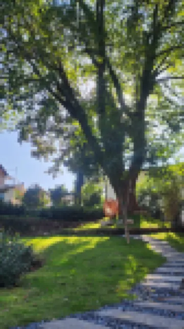 HANGZHOU W PLUS HOTEL Hotels near Hangzhou Zoo