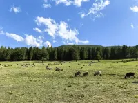 Jinjiang Hotel (Hami Railway Station Youyi Road)