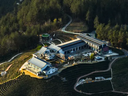 Hanshang Yunjin Tea Theme Homestay