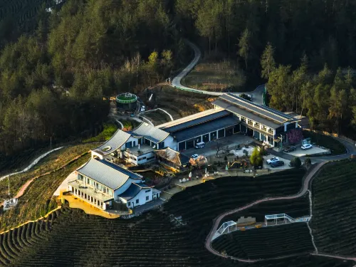 Hanshang Yunjin Tea Theme Homestay Hotels in Mian County