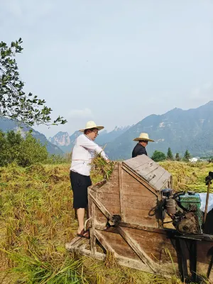 Zhangjiajie Ldyllic Pondside Timber Lodge Near Hotel Photos