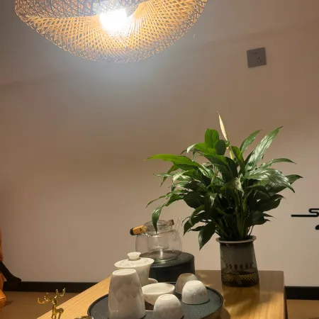 Qingxi Meisu Apartment