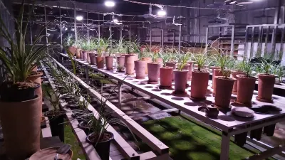 Tengchong Taoxiang Lanju Homestay Các khách sạn gần Volcano Geothermal National Geopark