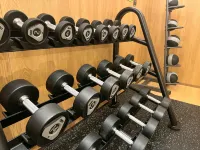 懷化鶴城希爾頓惠庭飯店 懷化住宿飯店